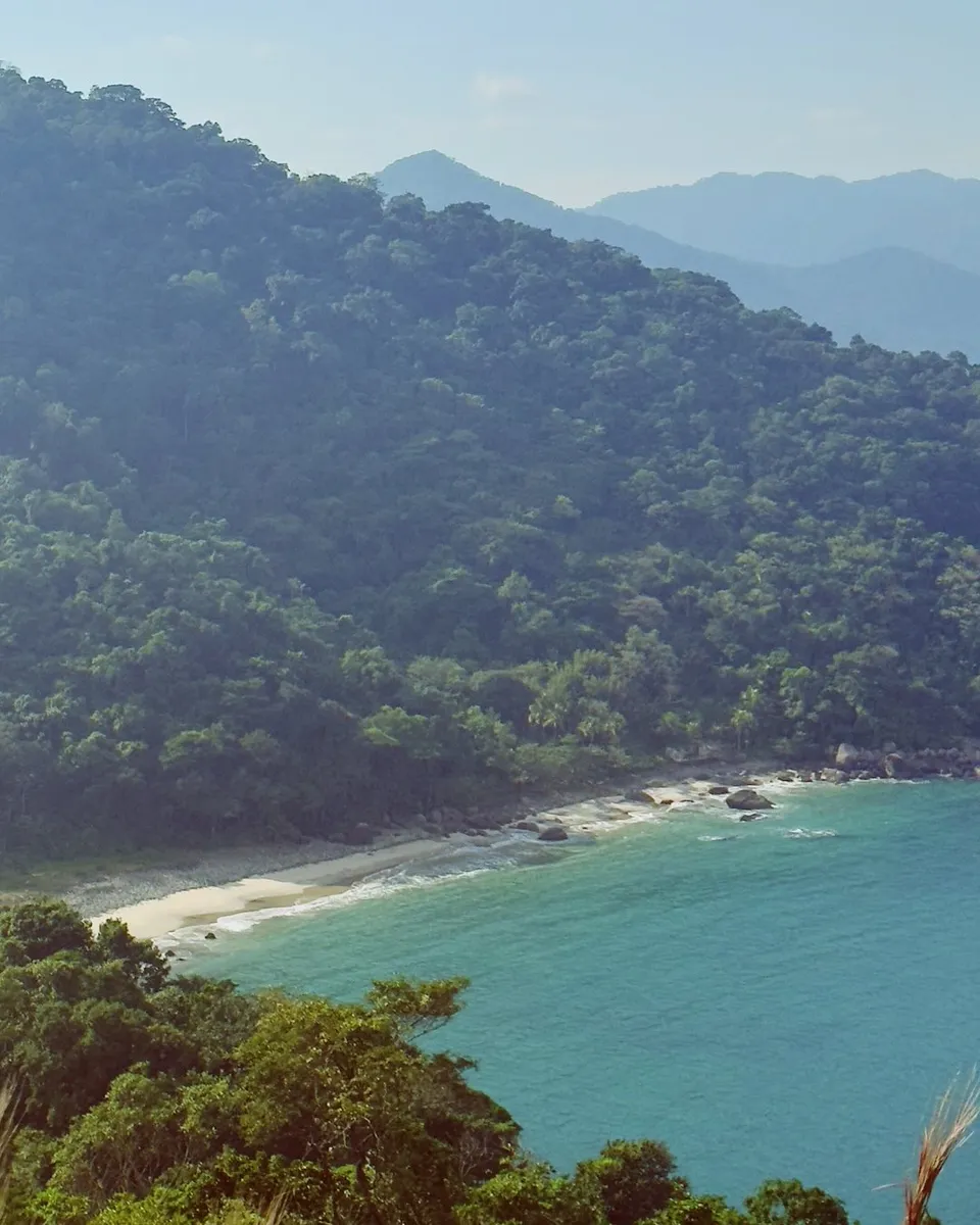 Enseada vista da trilha, cercada de Mata Atlântica
