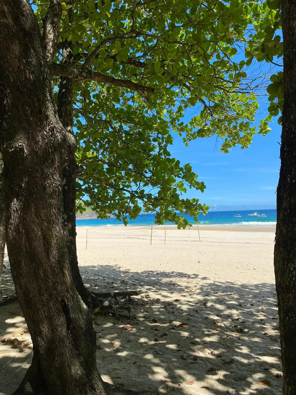 Sombra de árvore na areia da praia