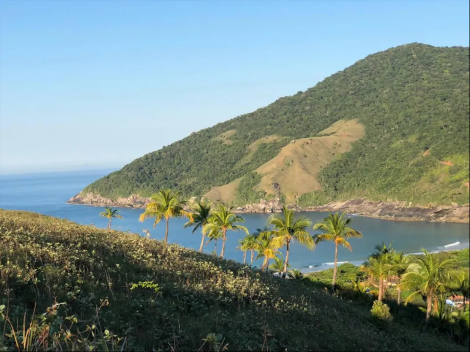 Morro e coqueiros vistos do alto, ao fim da tarde