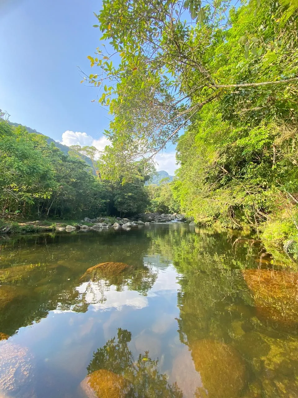 Rio cercado de mata no Bonete