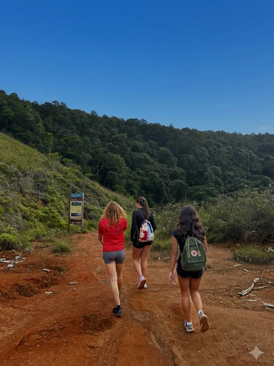 Trilha do Bonete em meio à Mata Atlântica