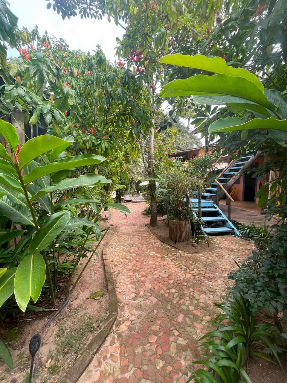 Caminho de pedras entre a vegetação até os quartos