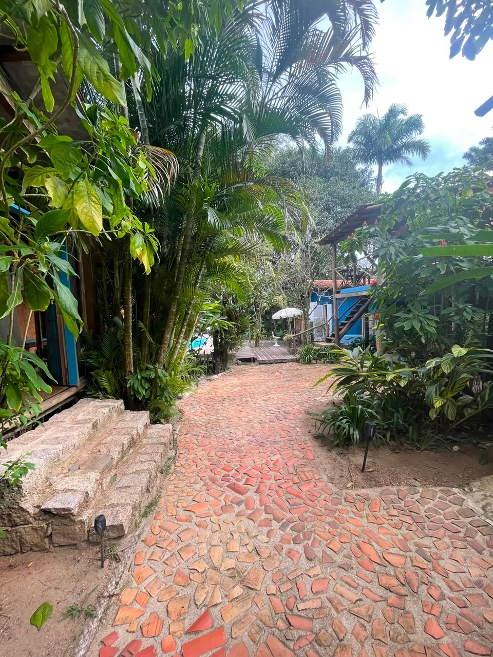 Caminho de pedras no jardim tropical