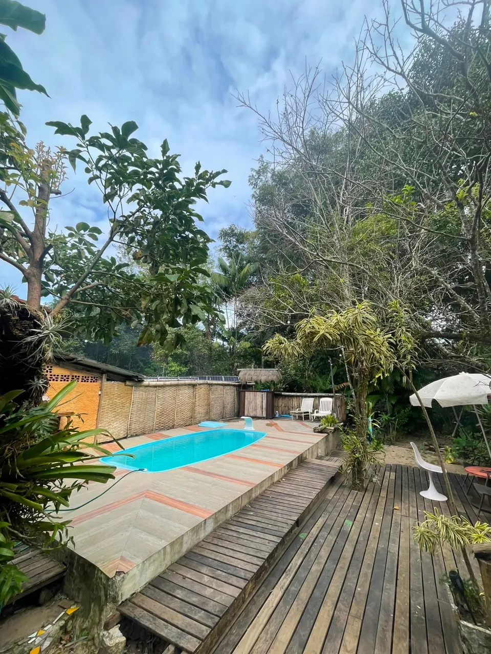 Piscina com deck de madeira cercada de árvores